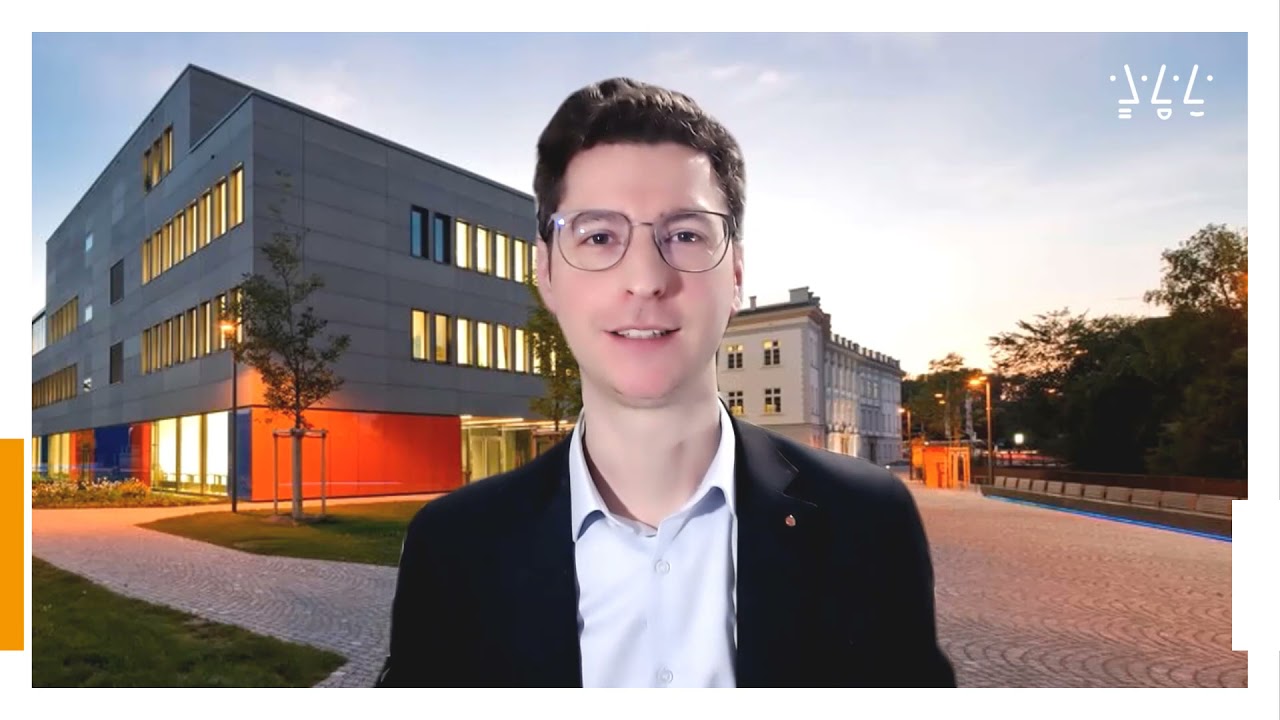 International Information Systems: Bachelorstudiengang Internationale Wirtschaftsinformatik