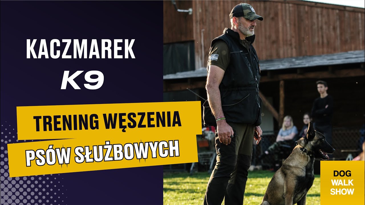 KACZMAREKK9: Trening węchowy psa do zadań specjalnych! | DOG WALK SHOW #37