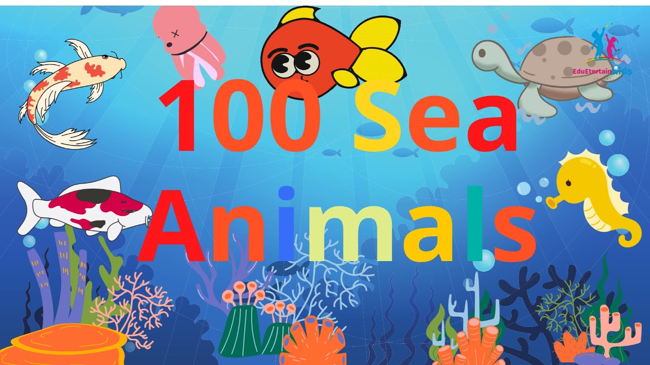 100 Sea Animals for Kids and Toddlers Learning | English Vocabulary | Kids Learning | Eduentertain