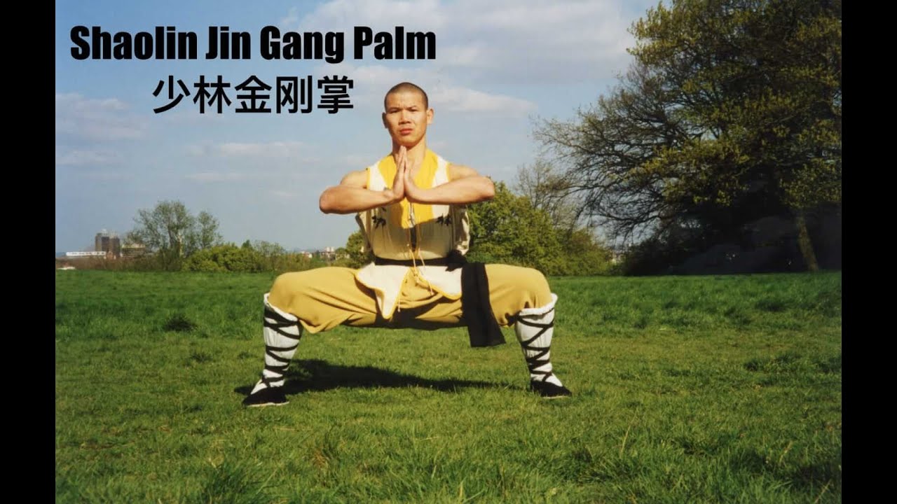 Shaolin Jingang Palm 少林金刚掌