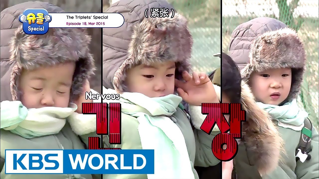 The Return of Superman - The Triplets Special Ep.18 [ENG/CHN/2017.09.08]