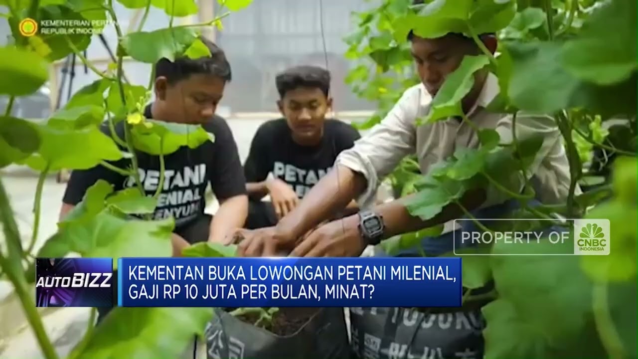 Kementan Buka Lowongan Petani Milenial, Gaji Rp 10 Juta Per Bulan