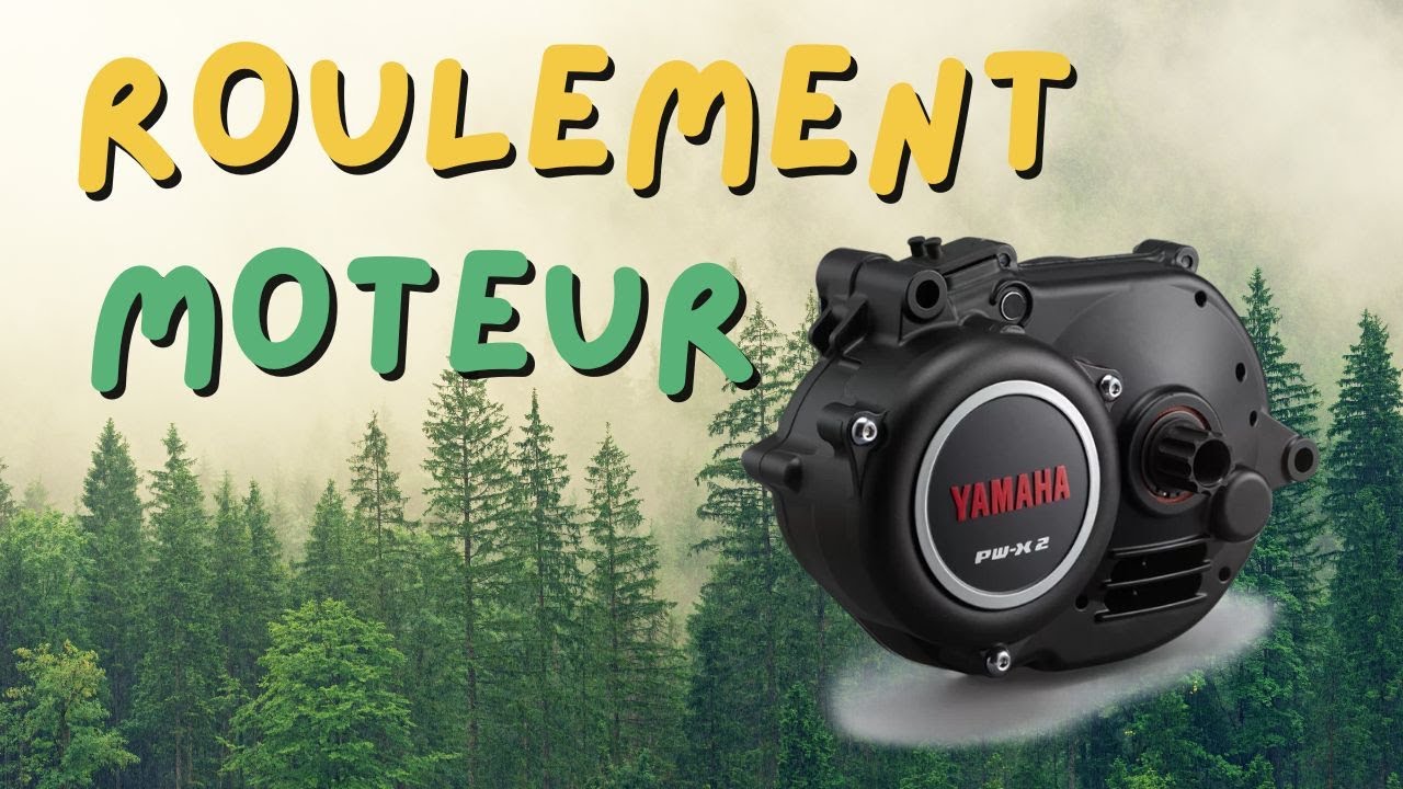 Moteur VTTAE YAMAHA PW X2 Remplacement d'un roulement