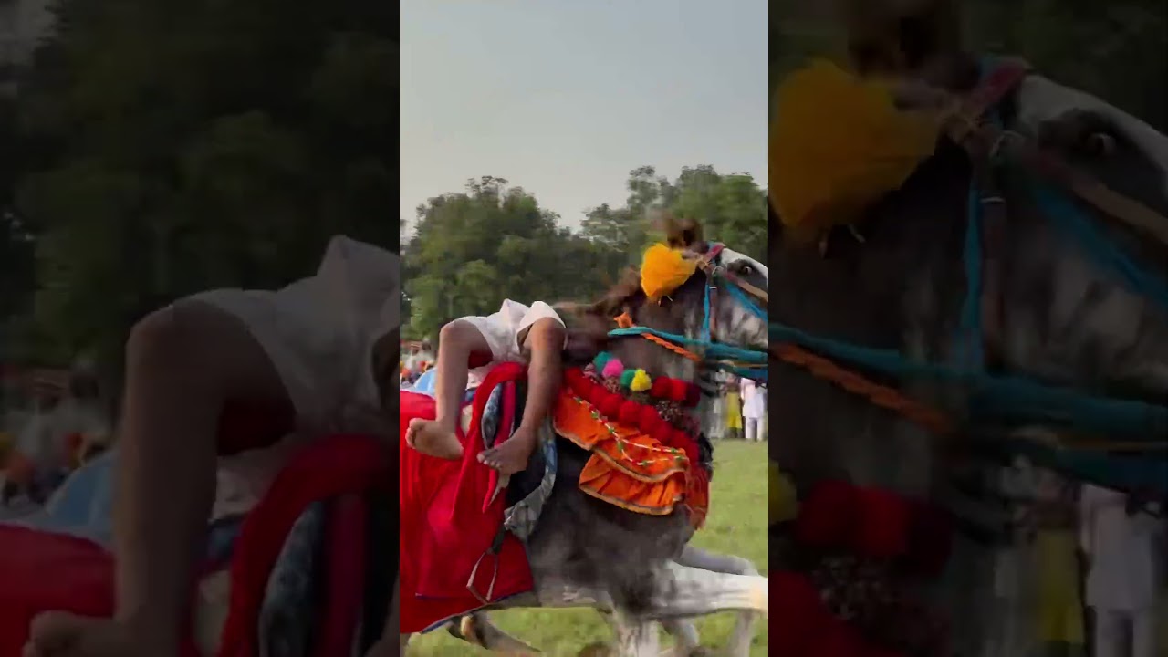 Nihang Singh bidhichandiye🙏🏻#nihangsikh#shortvideo#horse  #wmk#dalbababidhichand #amritsar#khalsa