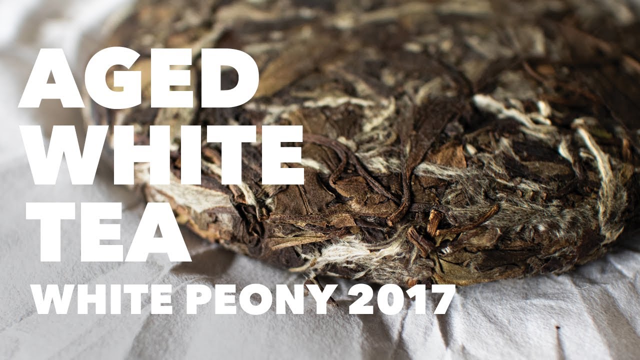 Aged White Tea – 1 year tea, 3 years medicine, 7 years treasure