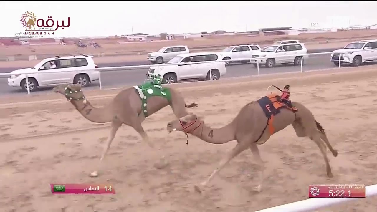 ش11 العاصفه لـ فهد عبدالله جروح الشمري (مهرجان ولي العهد بالسعودية 1-8-2022) لقايا بكار 6:29:62