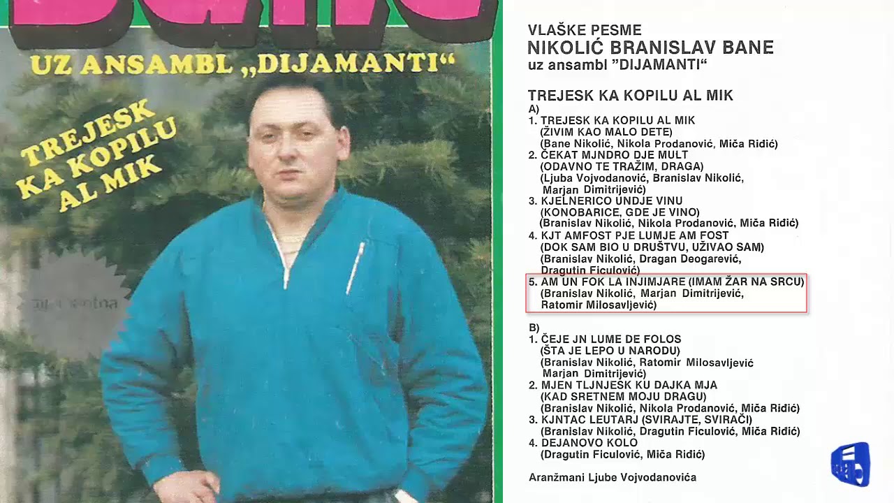 Branislav Nikolic Bane - Vlaske pesme - (Audio 1988) - CEO ALBUM