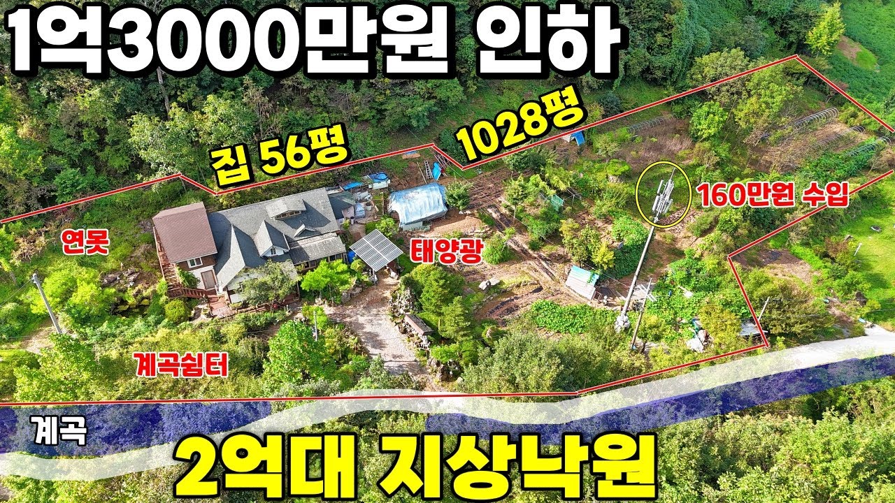 54.⚡급매⚡1억3000만원인하된 전원주택! 수년간 가꾼 지상낙원을 이 가격에?! 160만원 수익과 연못 계곡이 있는 예술가들의 영감쉼터 급매물 제천땅집부동산TV