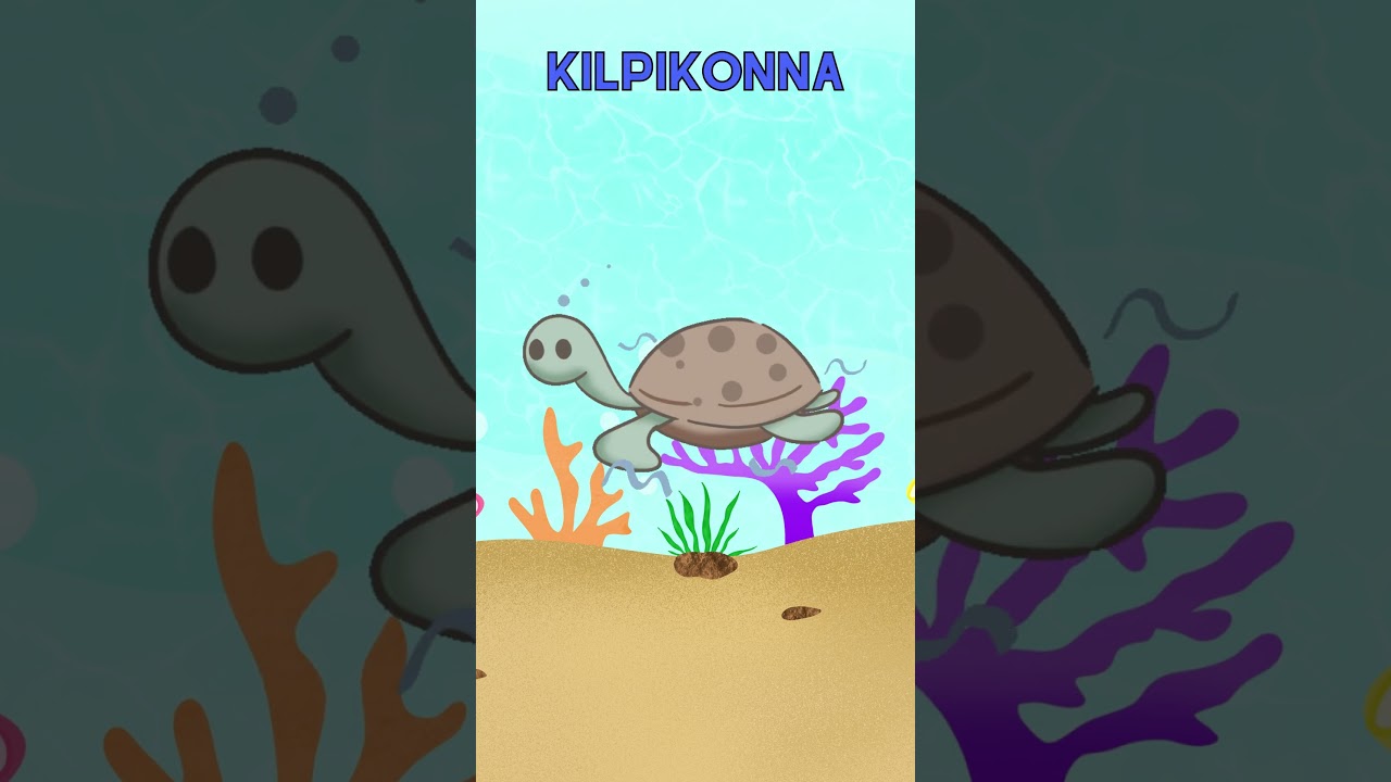 Mik&auml; el&auml;in? 👀🌊  | Arvaa el&auml;in! 🐱