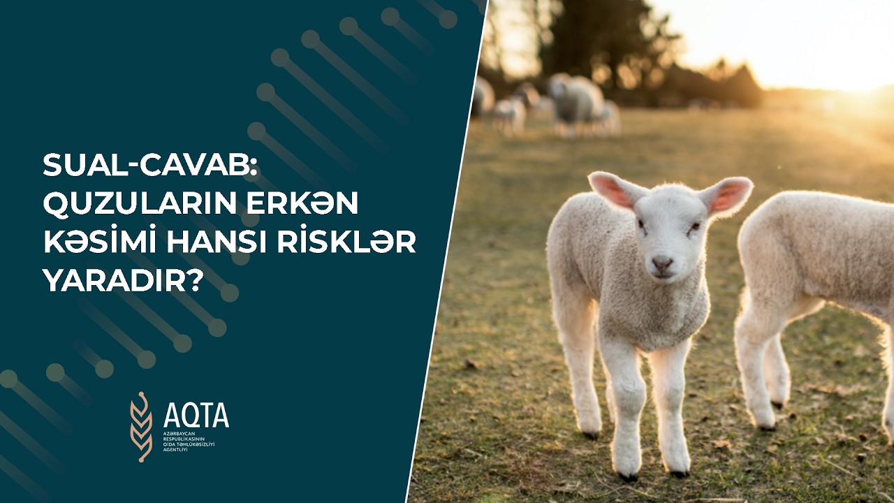 Sual-Cavab: Quzuların erkən kəsimi hansı risklər yaradır?