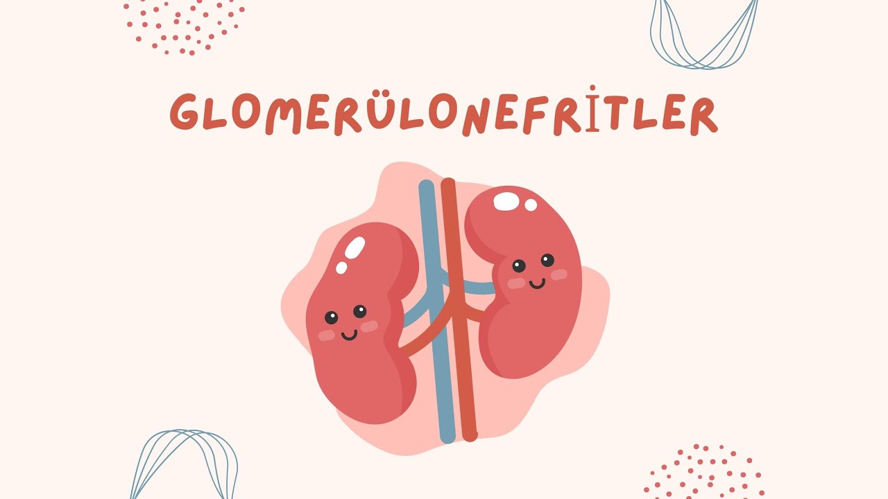 Glomerülonefritler (Örnek Video 1)