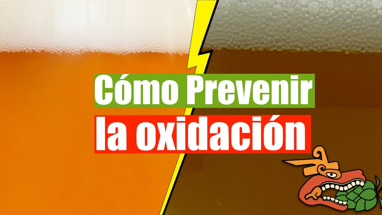 Errores Comunes al Hacer Cerveza en Casa: Oxidación en la Cerveza