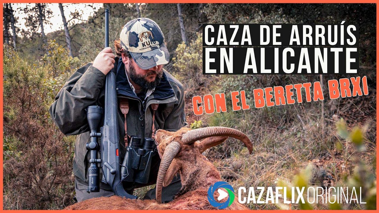 ✅ CAZA DE ARRU&Iacute;S EN ALICANTE a rececho con el BERETTA BRX1