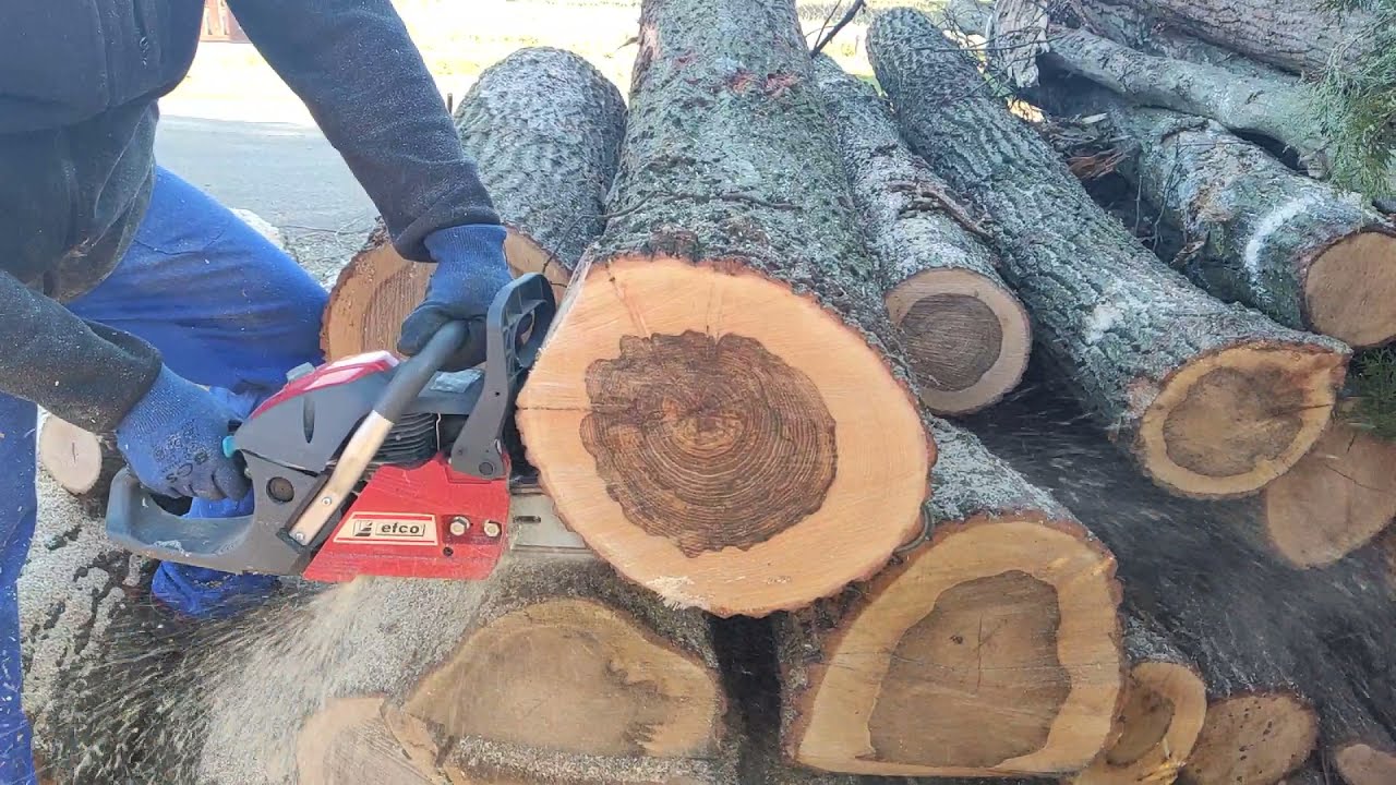 Husqvarna 55 vs Efco mth 5600