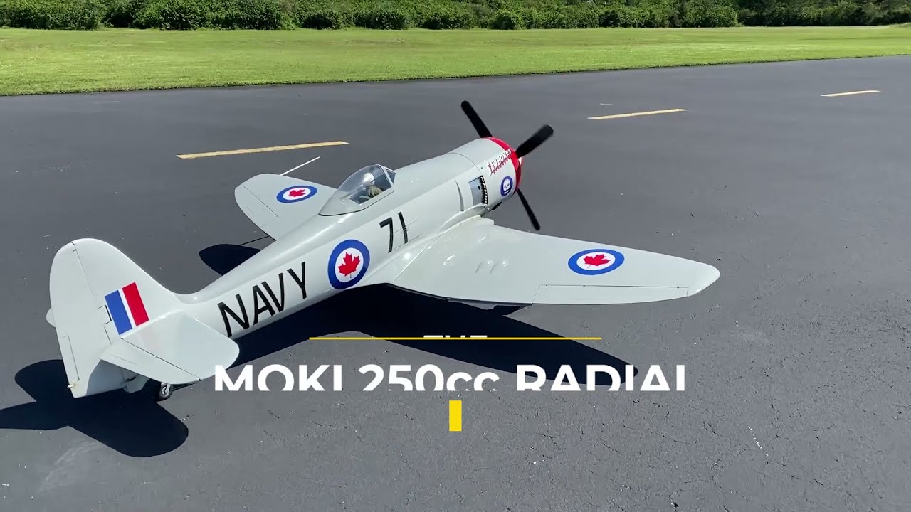 Sea Fury Moki 250cc radial