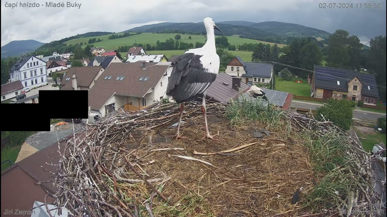 Bucifálkova polední předletová příprava 2.7.24