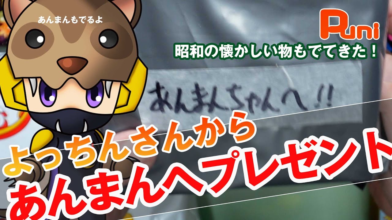 【購入】よっちんさんからあんまんちゃんにプレゼント届いた！あんまんの大事な宝物！