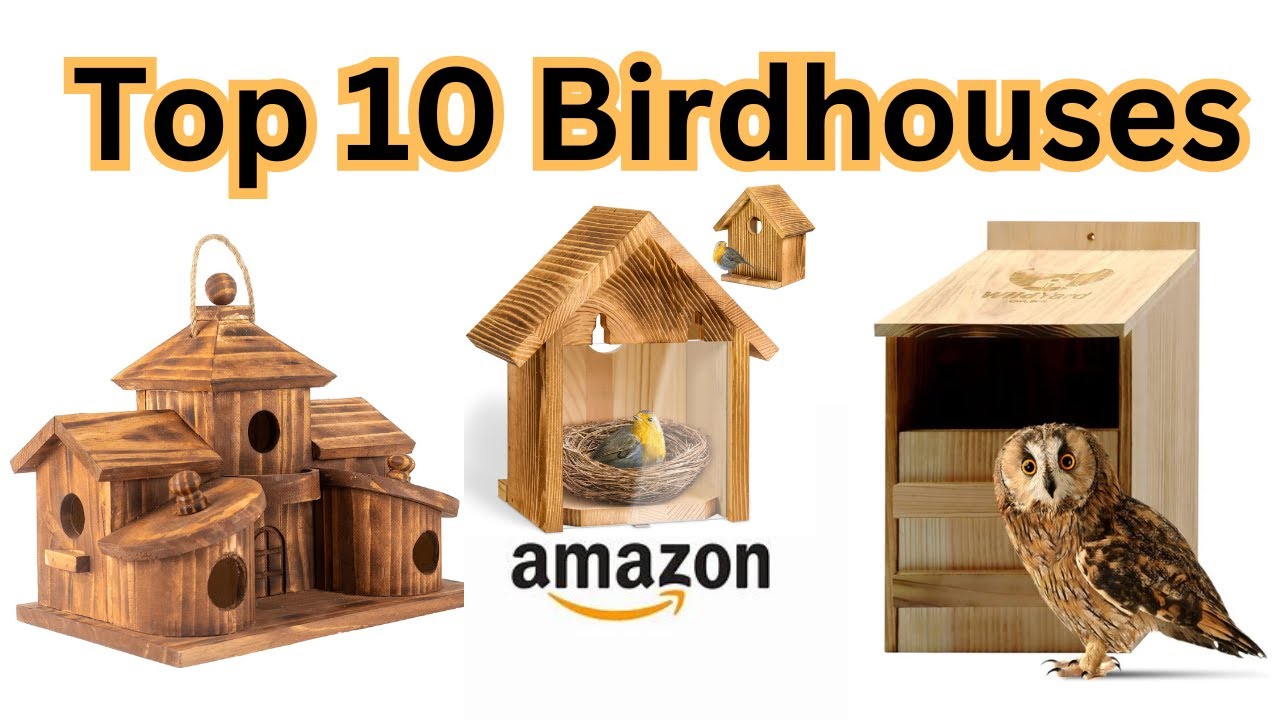 Top 10 Birdhouses on Amazon