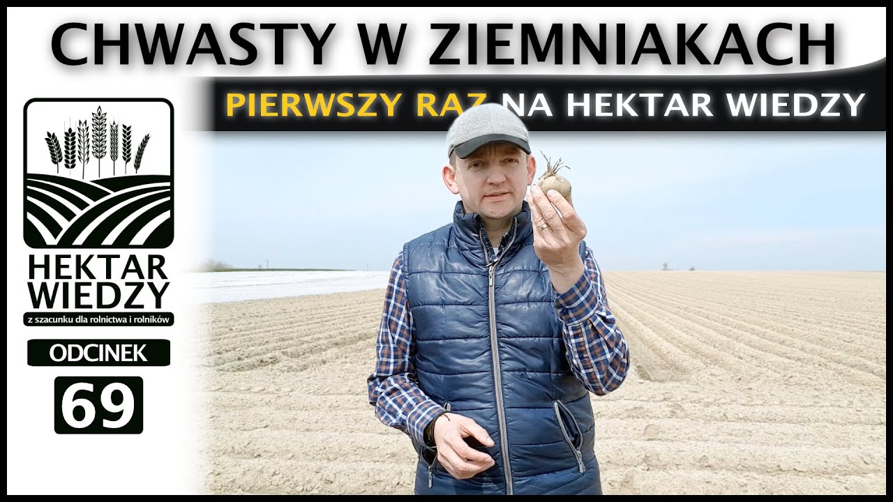 CHWASTY W ZIEMNIAKACH   PIERWSZY RAZ NA HEKTAR WIEDZY  | ODCINEK #69