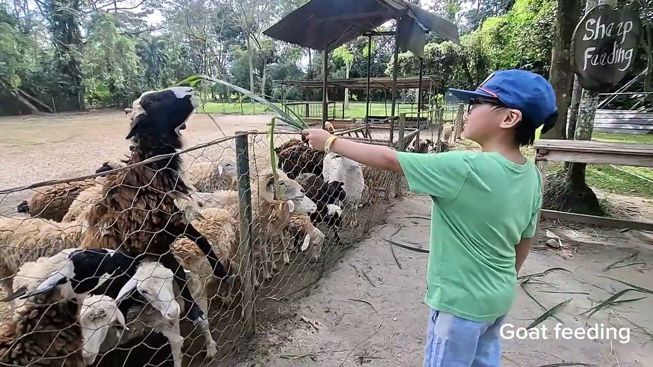 Having fun @ Sta Elena Fun Farm!