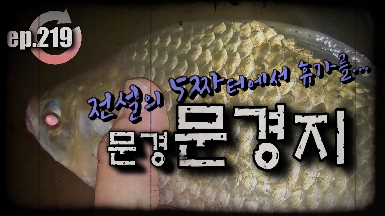 [ep.219] 전설의 5짜터에서 만난 붕어 #문경지 #문경저수지