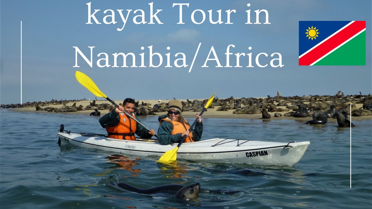 Kayak tour with Mary in Walvis Bay- Na/Africa- Pelican point- Seals cape- focas brincam com canoísta