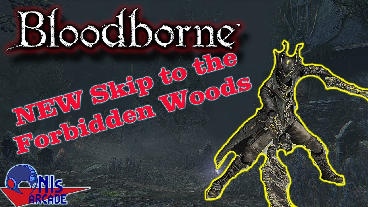 Bloodborne new glitch/skip showcase!