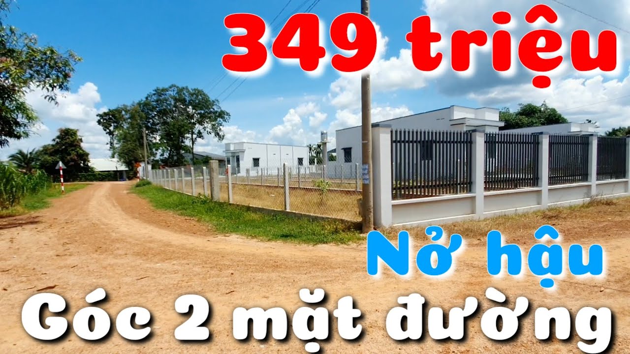 Bán đất nở hậu 2 mặt tiền giá rẻ 349 triệu thổ cư xây nhà vườn OK ở Long Vĩnh Châu Thành Tây Ninh