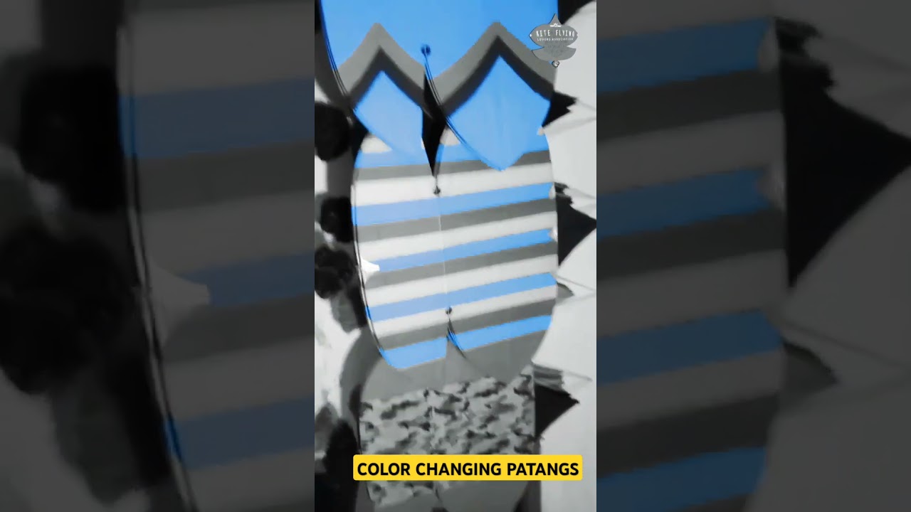 Amazing Color Changing Patangs | blockbuster coke studio@kiteflyingloversassociation #azadflow #patangbazi2024