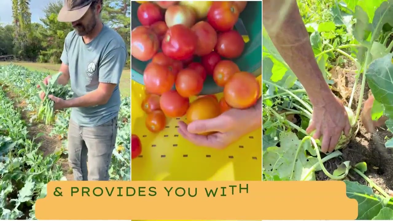 🌿 Support sustainable farming!