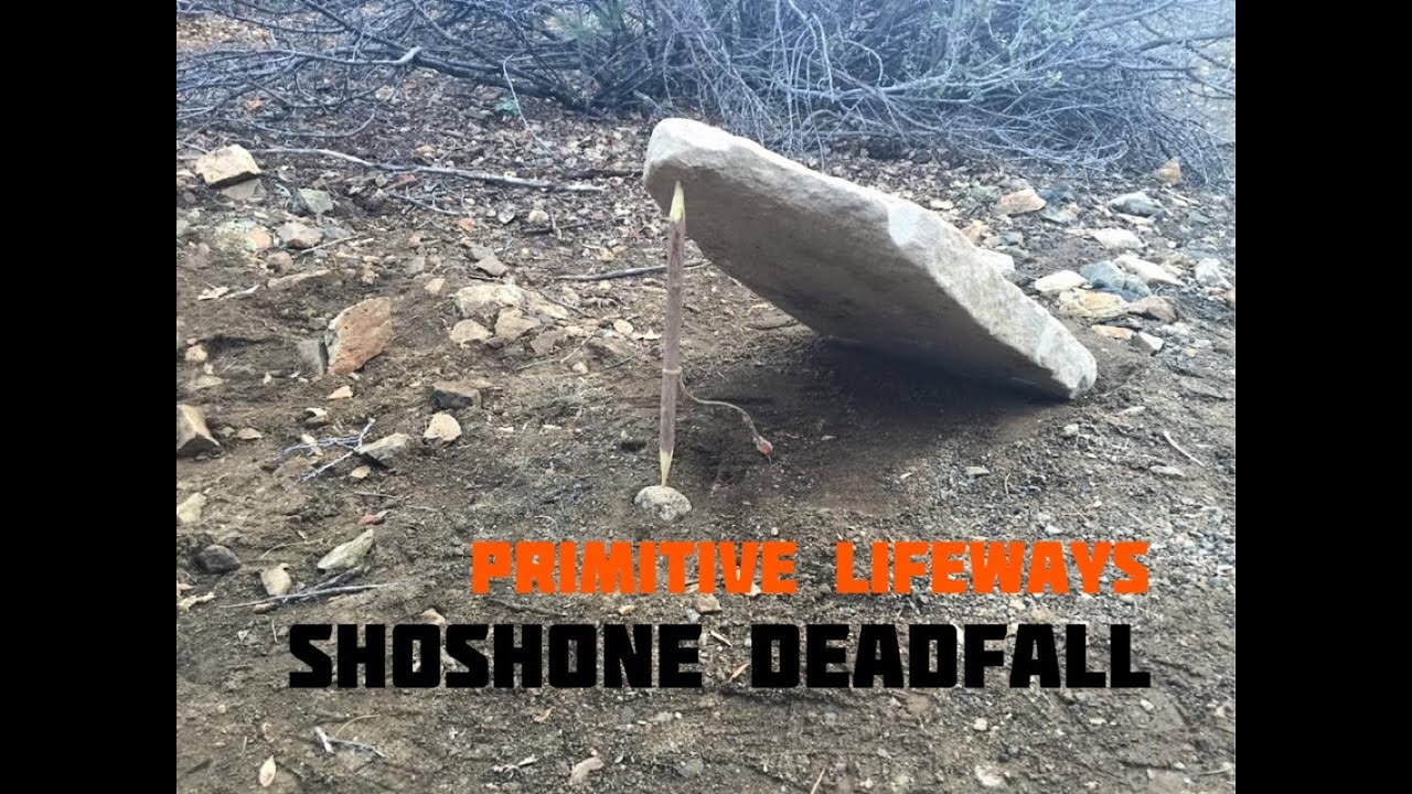 Shoshone Deadfall Trap