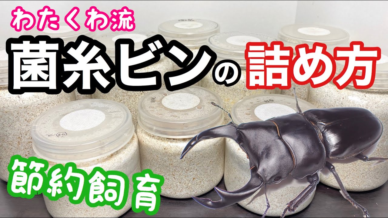 【自己流】菌糸ビンの詰め方  徹底解説【クワガタ飼育】