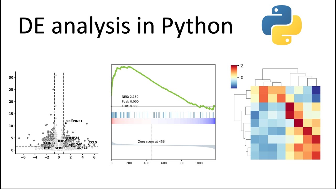 Дифференциальное выражение в Python с помощью pyDESeq2