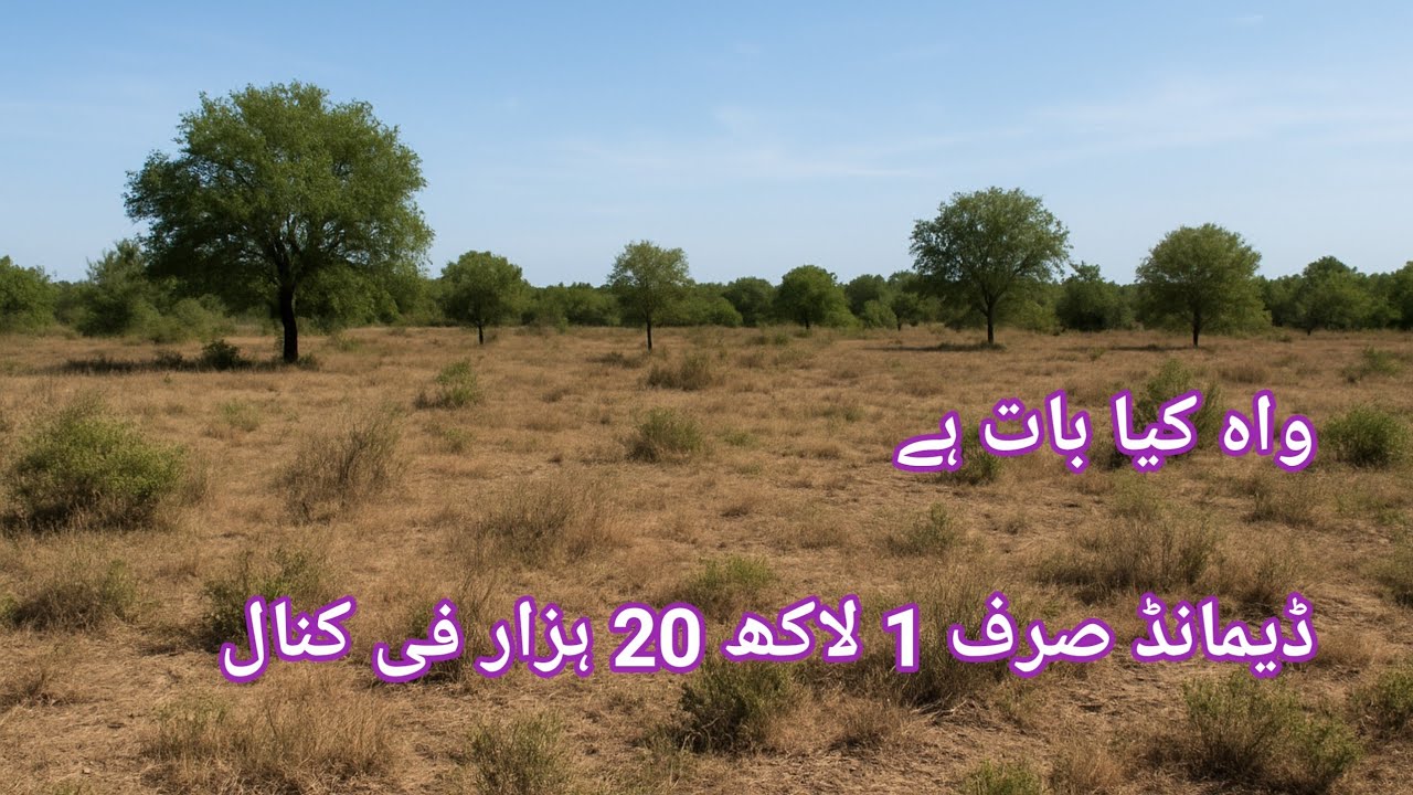 سستی زرعی زمین برائے فروخت cheap agricultural land for sale बिक्री के लिए सस्ती कृषि भूमि #viral 