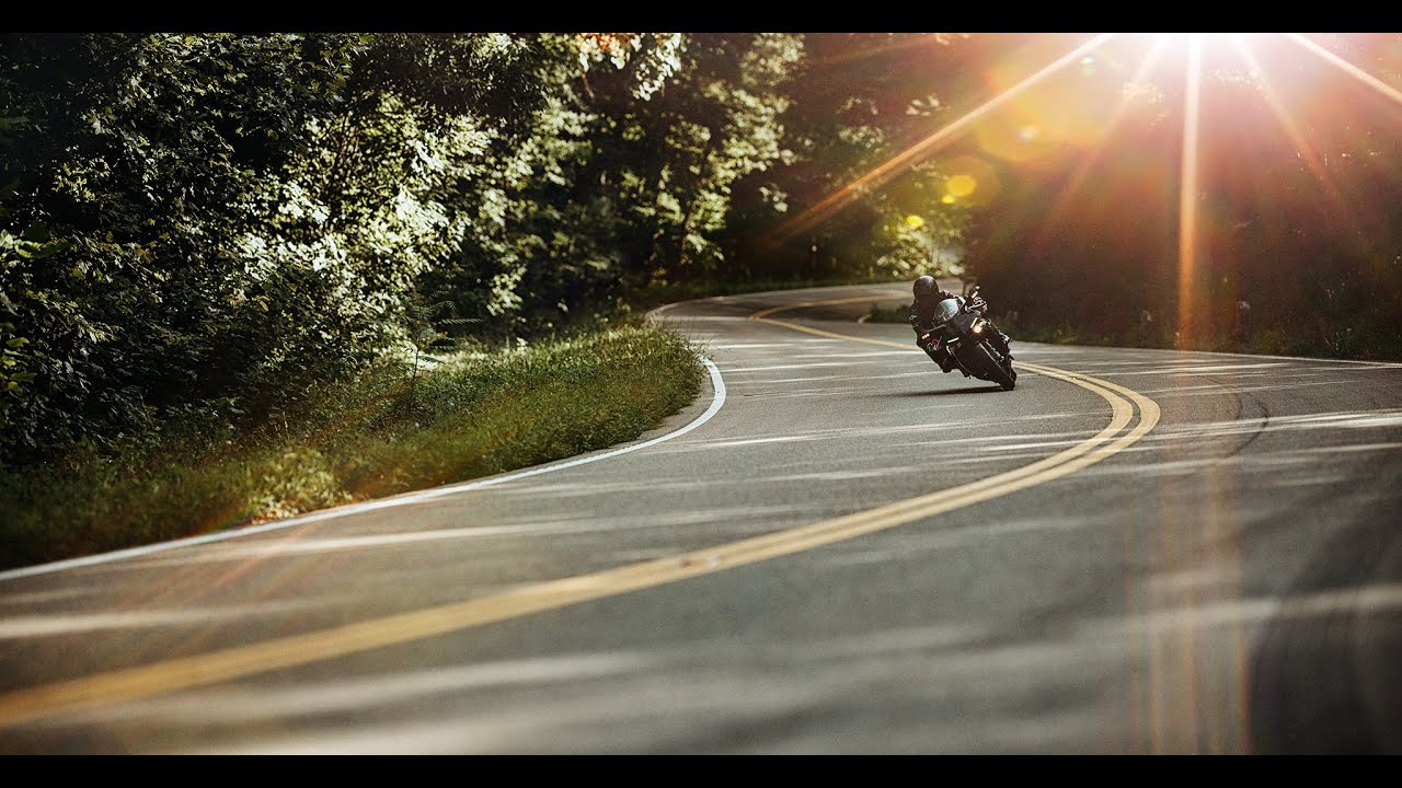 HWY 421 - The Snake