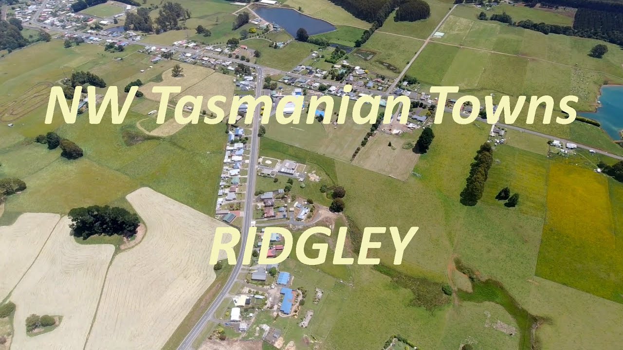 Wandering Foxbat – Ridgley, NW Tasmania