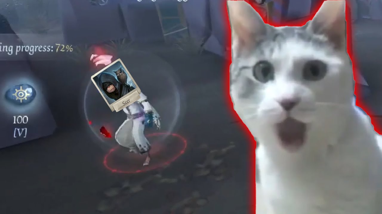 Gato vs seizure seer | Identity V Hardcore |