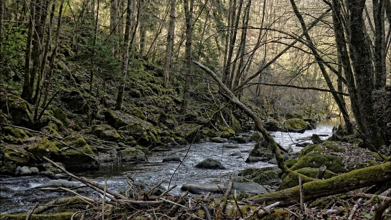 DIE GROSSE RODL IM RODLTAL  - OOE