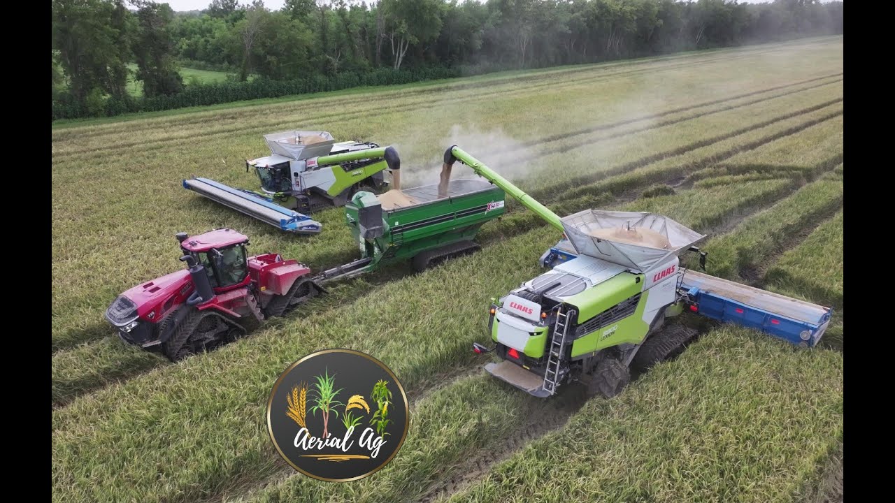 Claas 8800's 2025 Louisiana Rice Harvest