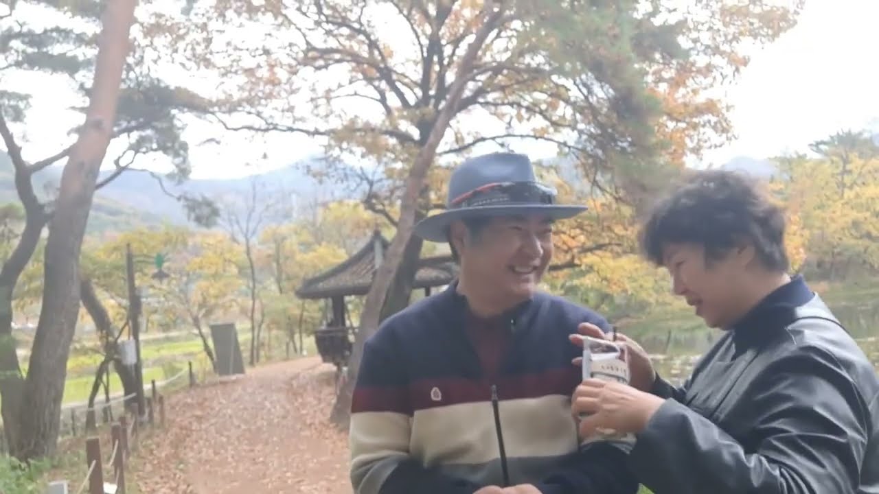 늦가을 밀양 금시당, 위양지. 밀양댐 가을 단풍 무료 차박 [캠핑카 여행.]