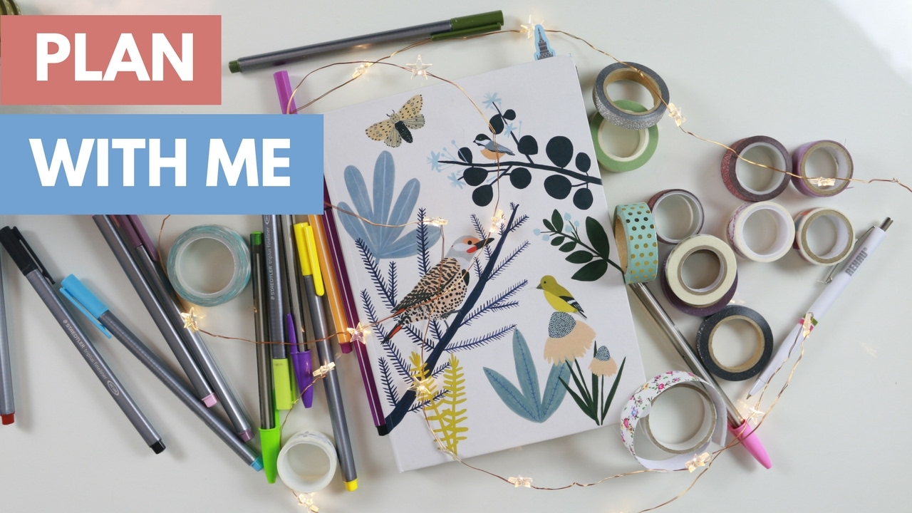 Ce se afla in agenda mea? | Plan with Me #1 | Anitanna