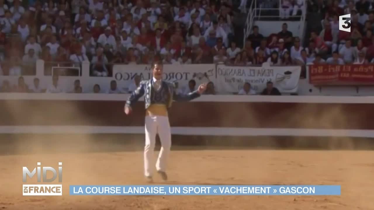 VU D'ICI : La course landaise, un sport 