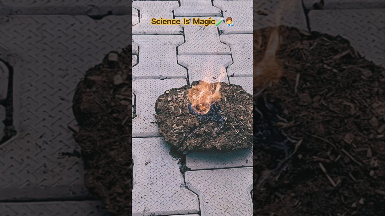 Science is Magic 🧪👨&zwj;🔬 #science #sciencefacts #scienceexperiment #government #school #experiment