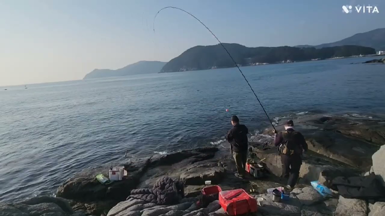 거제도 2026  02  14