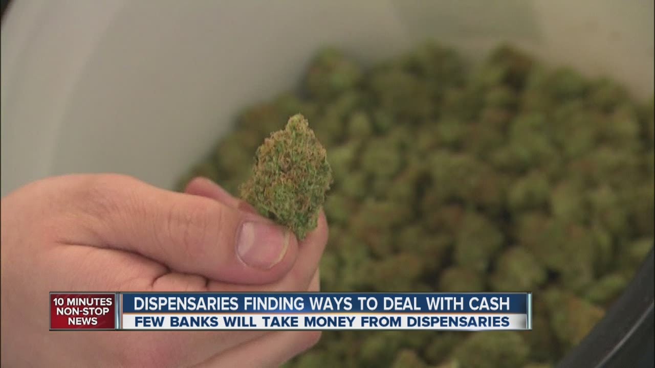 $3.5 in pot taxes and fees collected in January