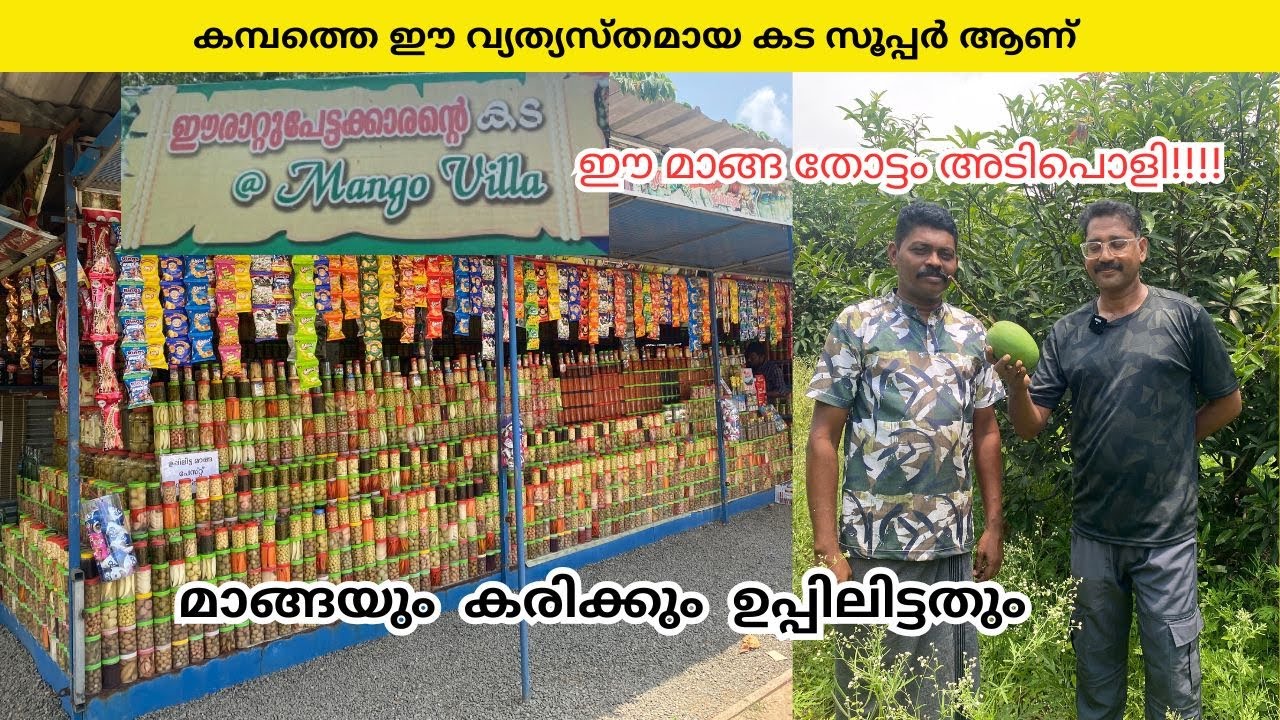 കമ്പത്തിനോട് കമ്പം , മലയാളി തമിഴ്നാട്ടിൽ തുടങ്ങിയ സംരംഭം സൂപ്പർ ആണ് | Shyju Vlogger | Farm Visit