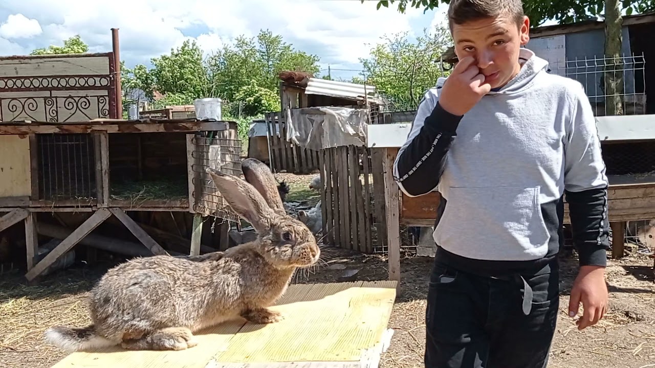 în vizită la Angelo și Iepuri 31.05.2021