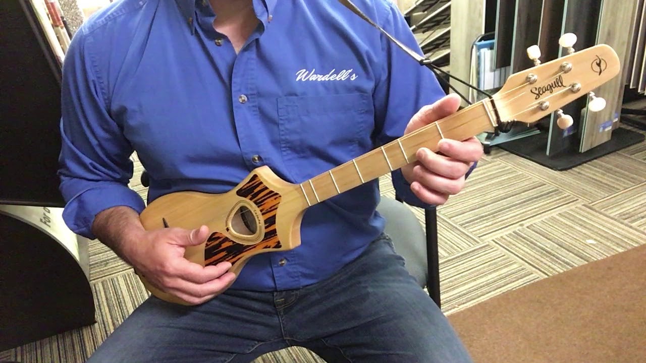 Seagull M4 Merlin 2 minute lesson Africa by Toto