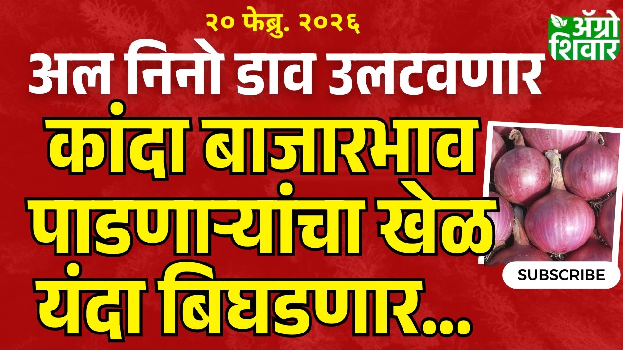 kanda market bajar bhav | कांदा बाजार भाव पाडणाऱ्यांचा खेळ यंदा अल निनो बिघडवणार