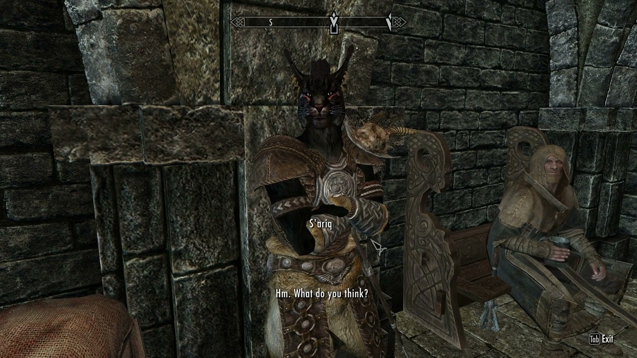 Khajiit Will Follow x Vigilant (Preview)